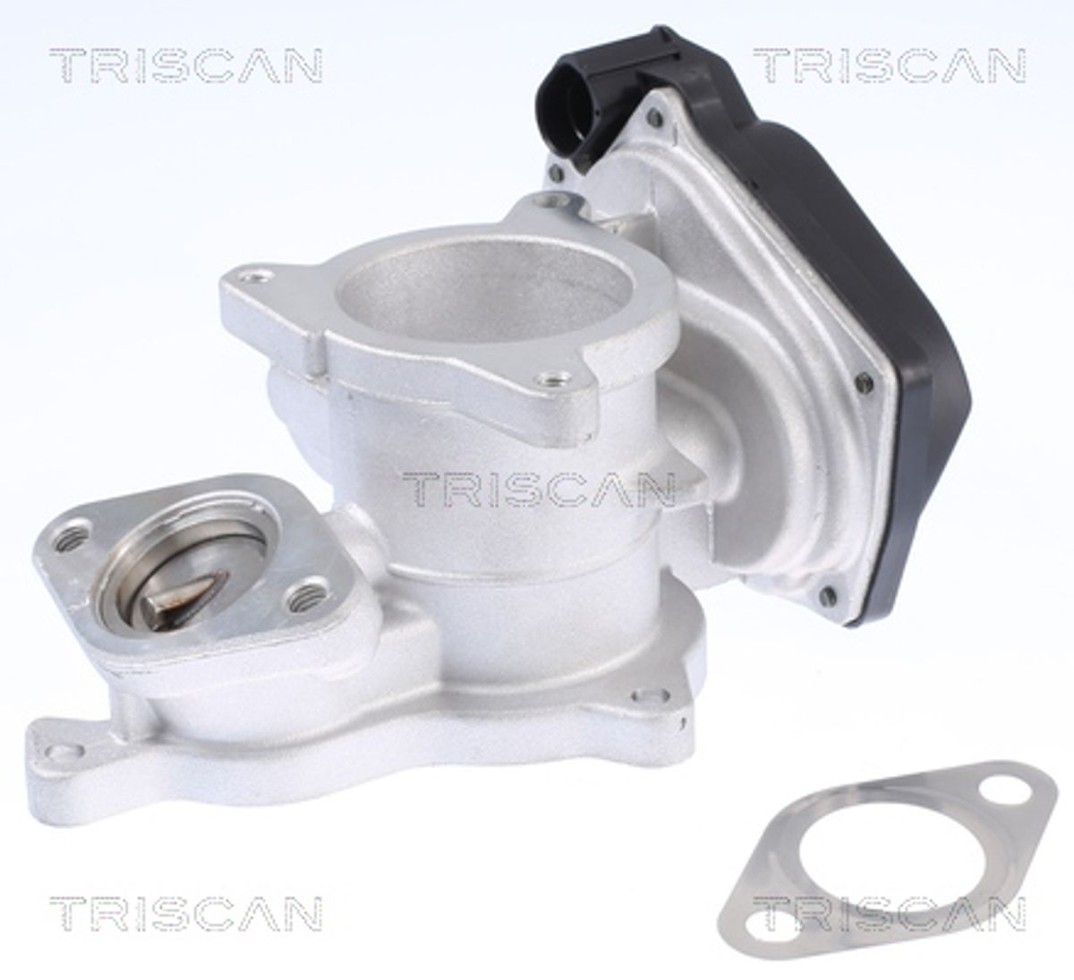Triscan 9913-29019 EGR ventil VAG