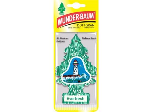 Wunder-Baum Everfresh